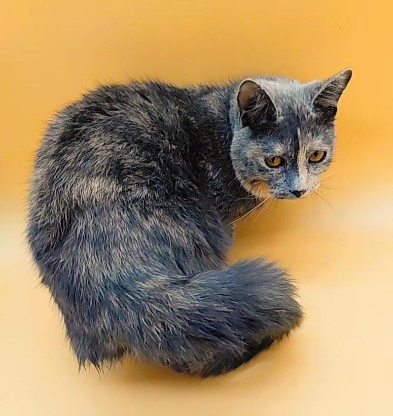 Patty — thumbnail 4