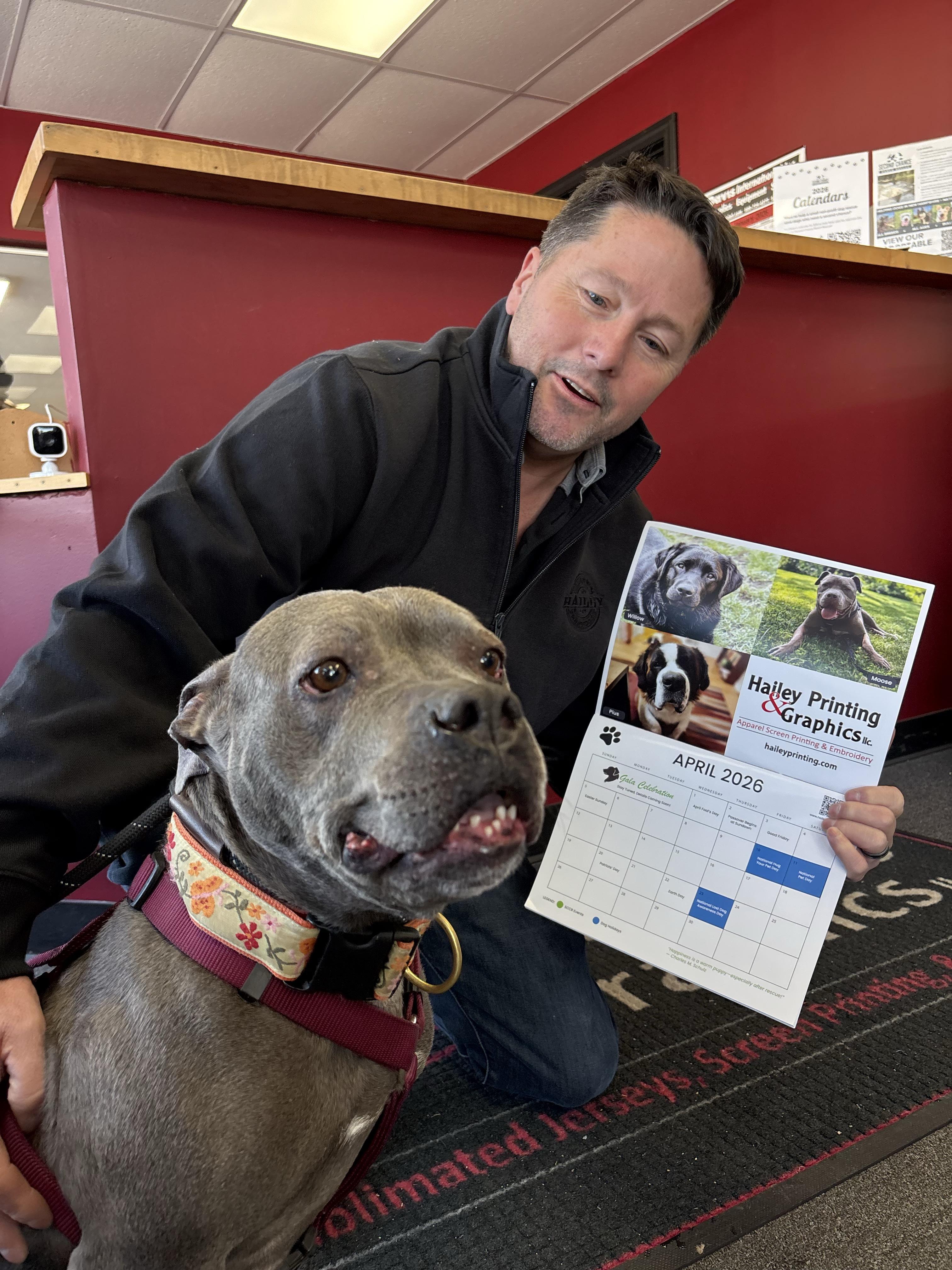 Enlarge Blue, an adopted mixed breed in New Boston, NH image 4/5