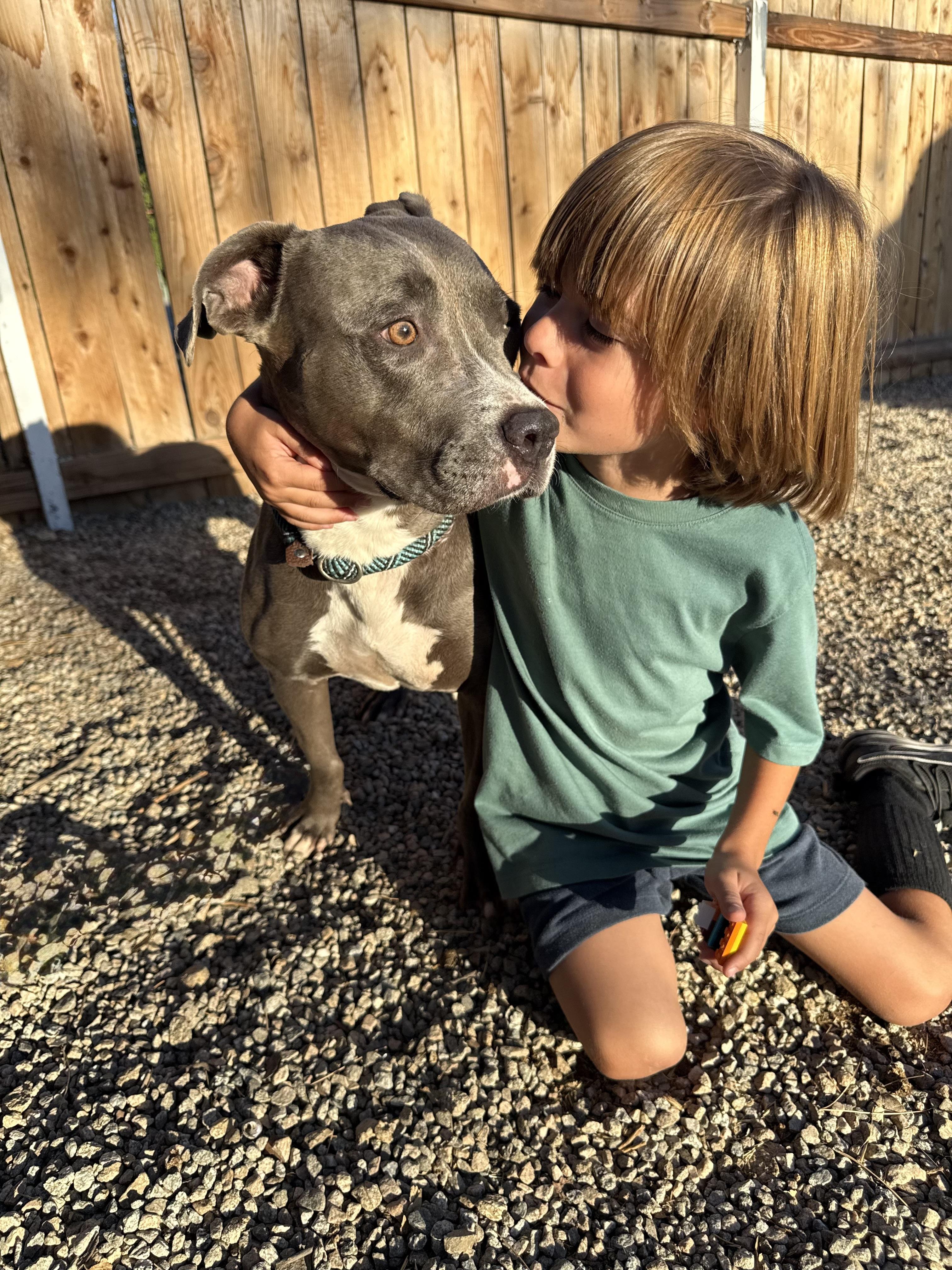 Enlarge ROXANNE, a Adoptable mixed breed in Portland , OR image 3/6