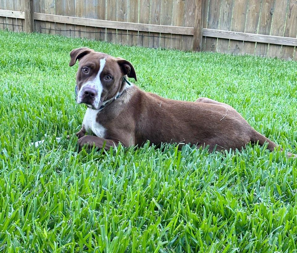 Gus photo 3