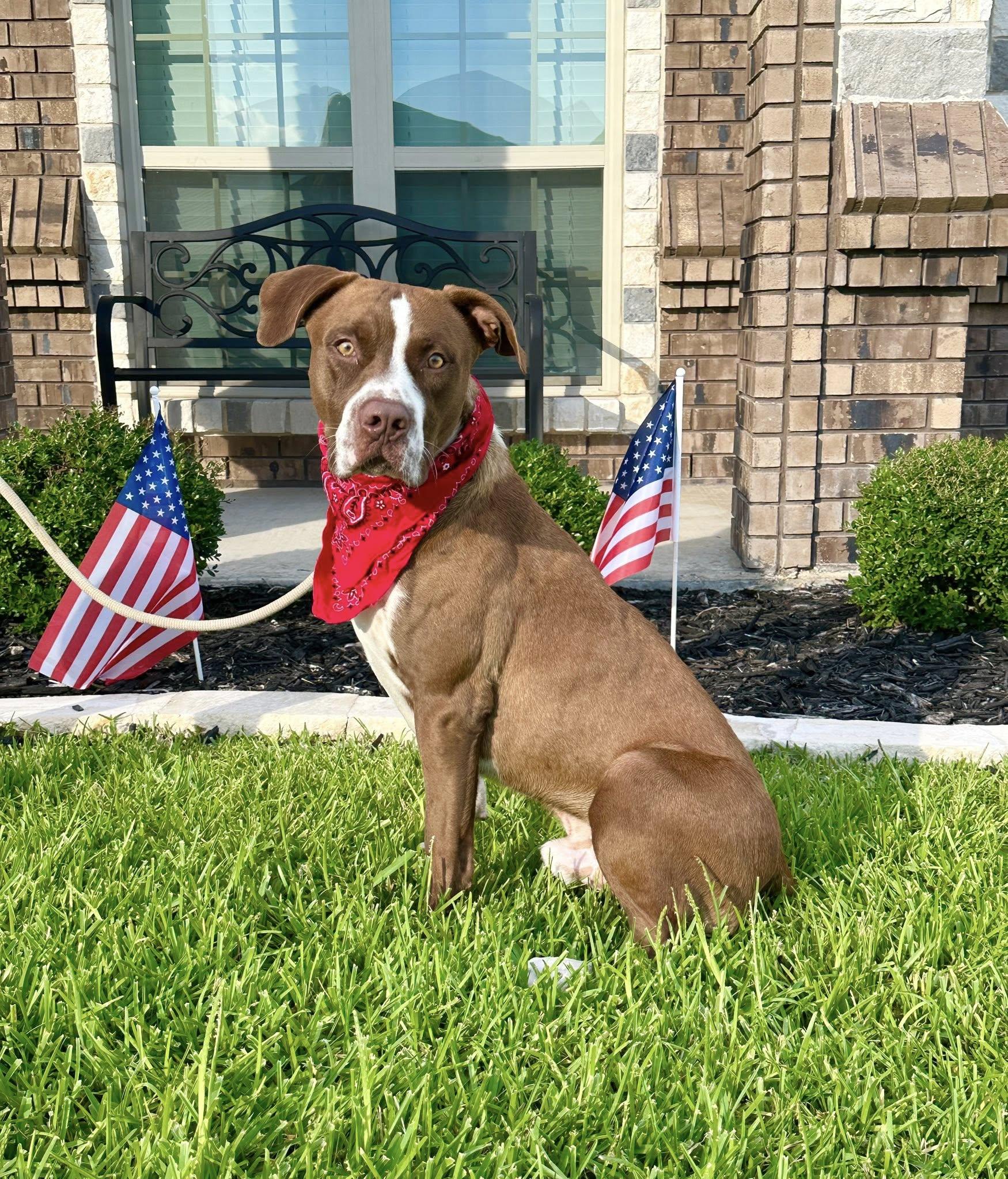 Gus photo 4