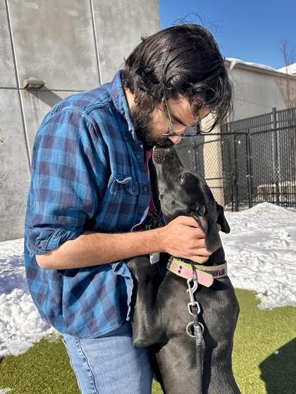 Bag of Holding, a Adoptable mixed breed in Wichita, KS image 2/3