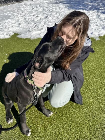 Bag of Holding, a Adoptable mixed breed in Wichita, KS image 3/3