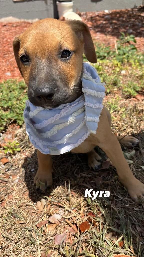 KYRA