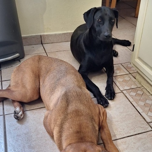 Mellie "fun Love." thumbnail 3