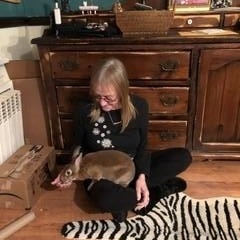 zzCourtesy Listing for Sammie, Adoptable, Senior Male Rex.