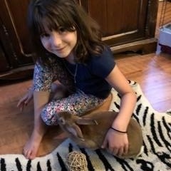 zzCourtesy Listing for Sammie, a Adoptable mixed breed in New Rochelle, NY image 6/6