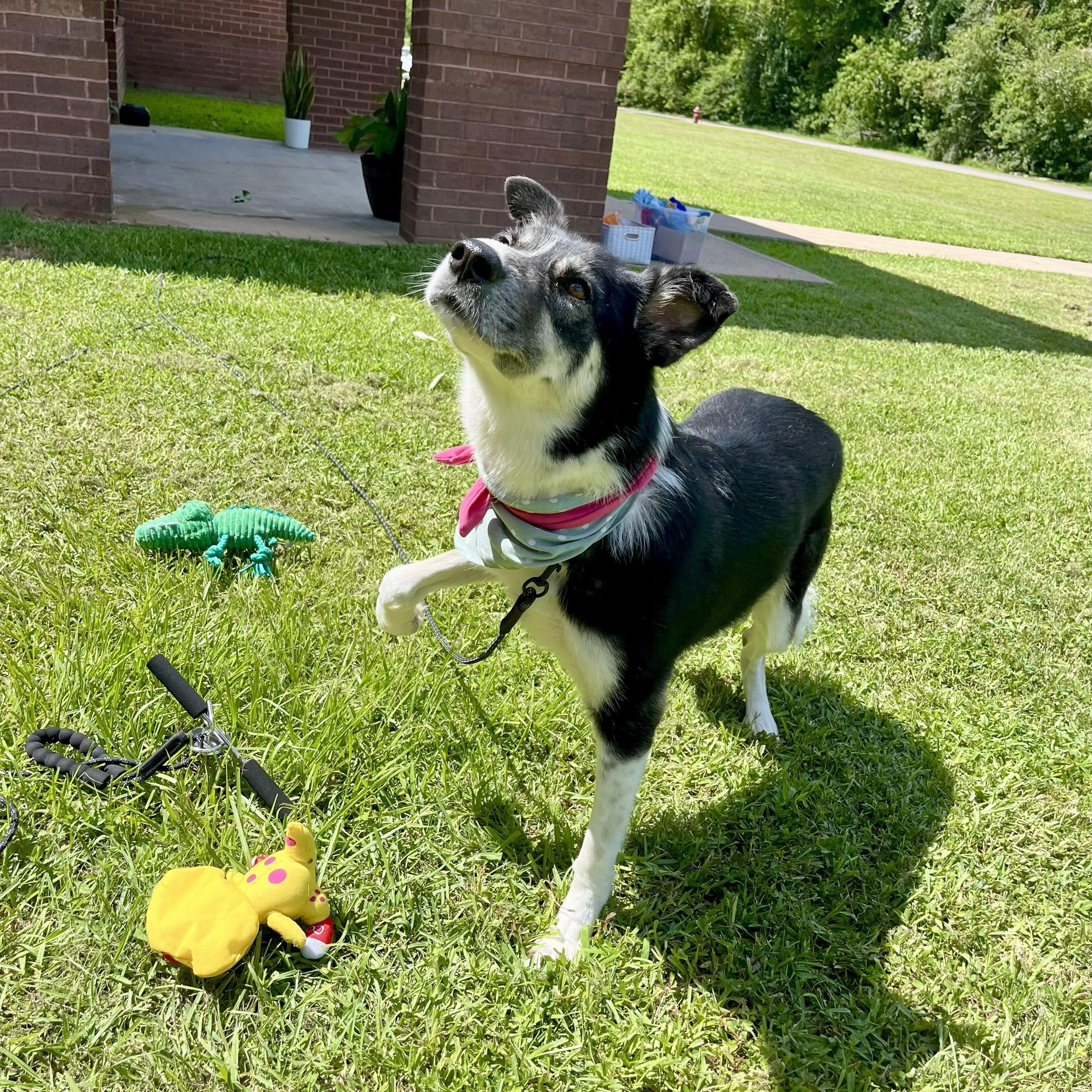 Mileena — thumbnail 4