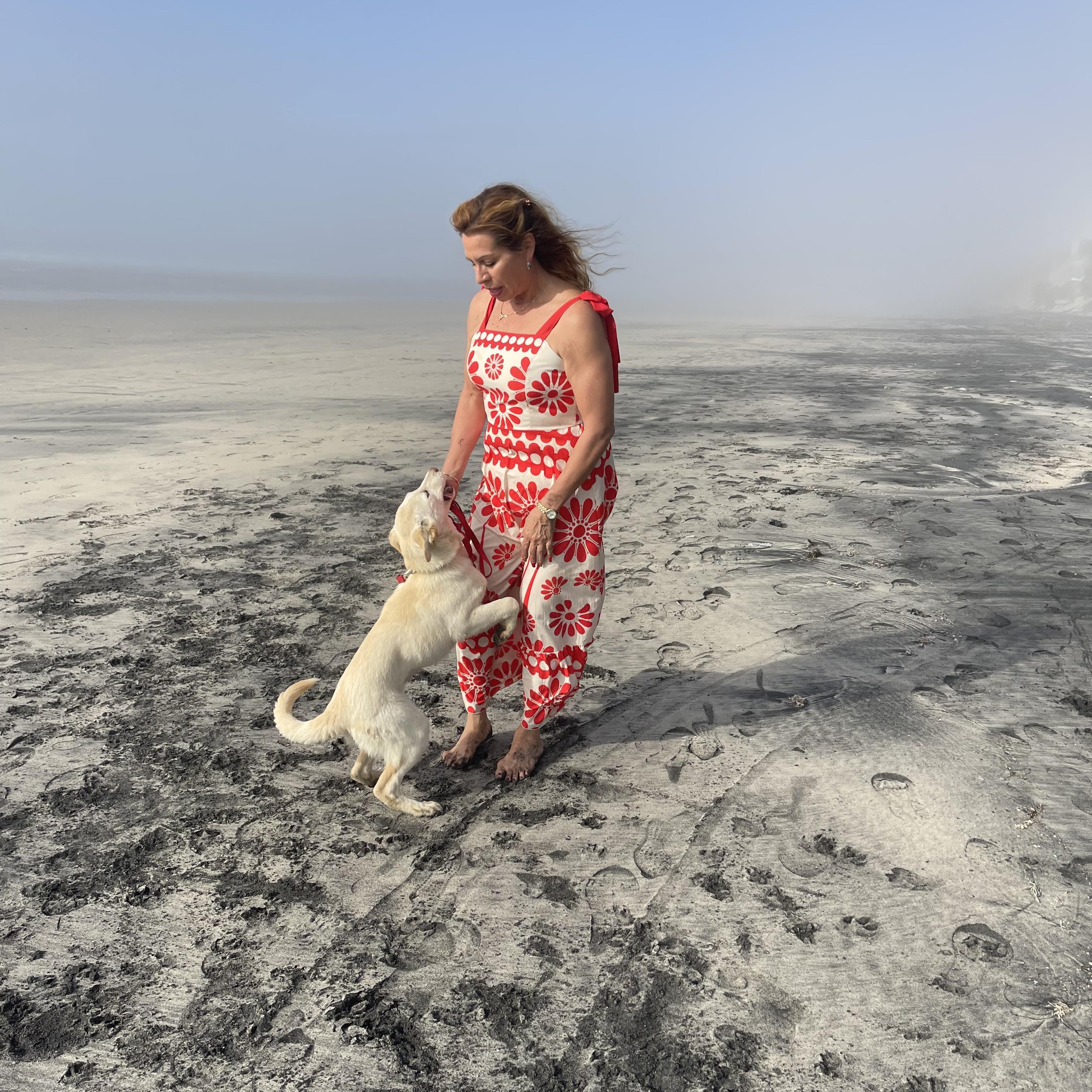 Enlarge KIRA 7 months 30 lbs, an adopted mixed breed in Aliso Viejo, CA image 5/6