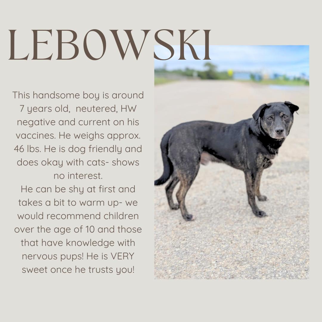 Lebowski