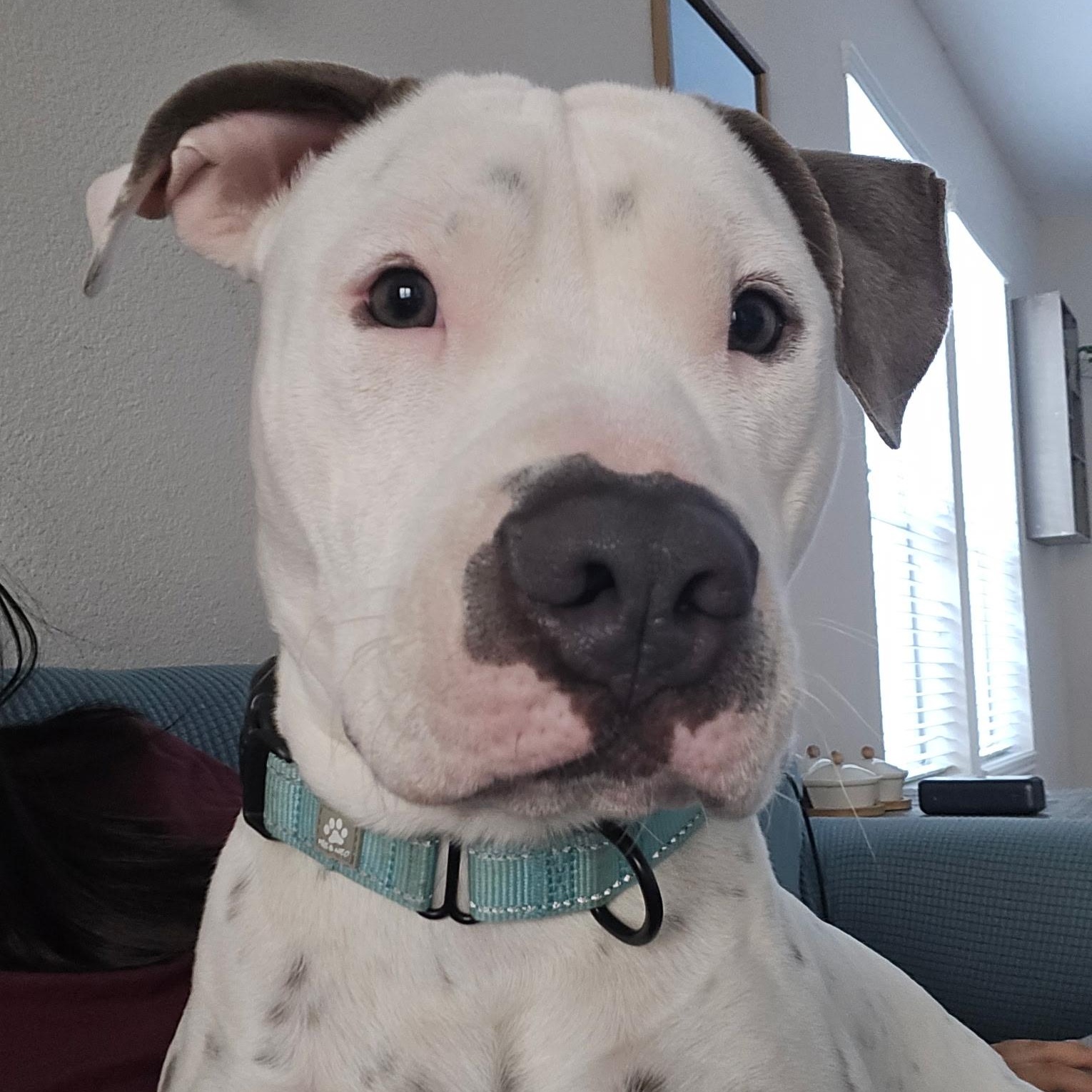 Jorge — thumbnail 5