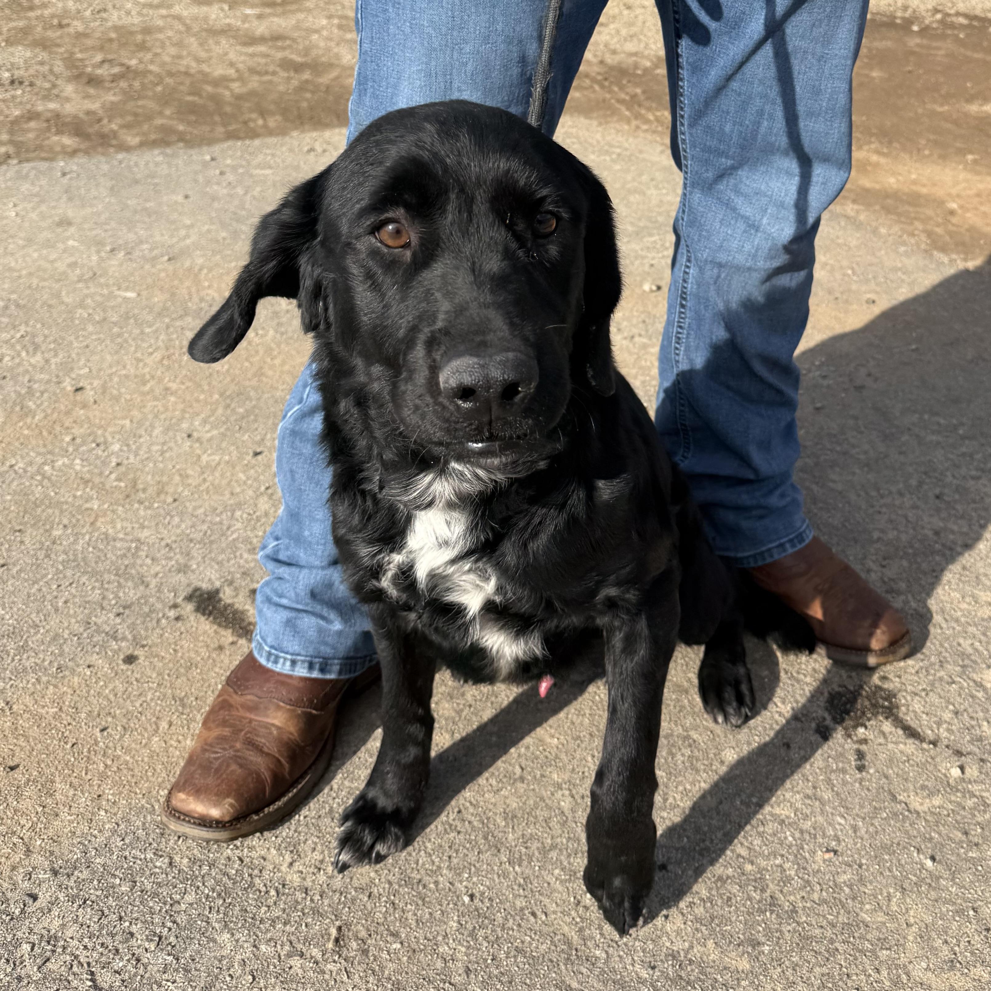 Sledder — thumbnail 2