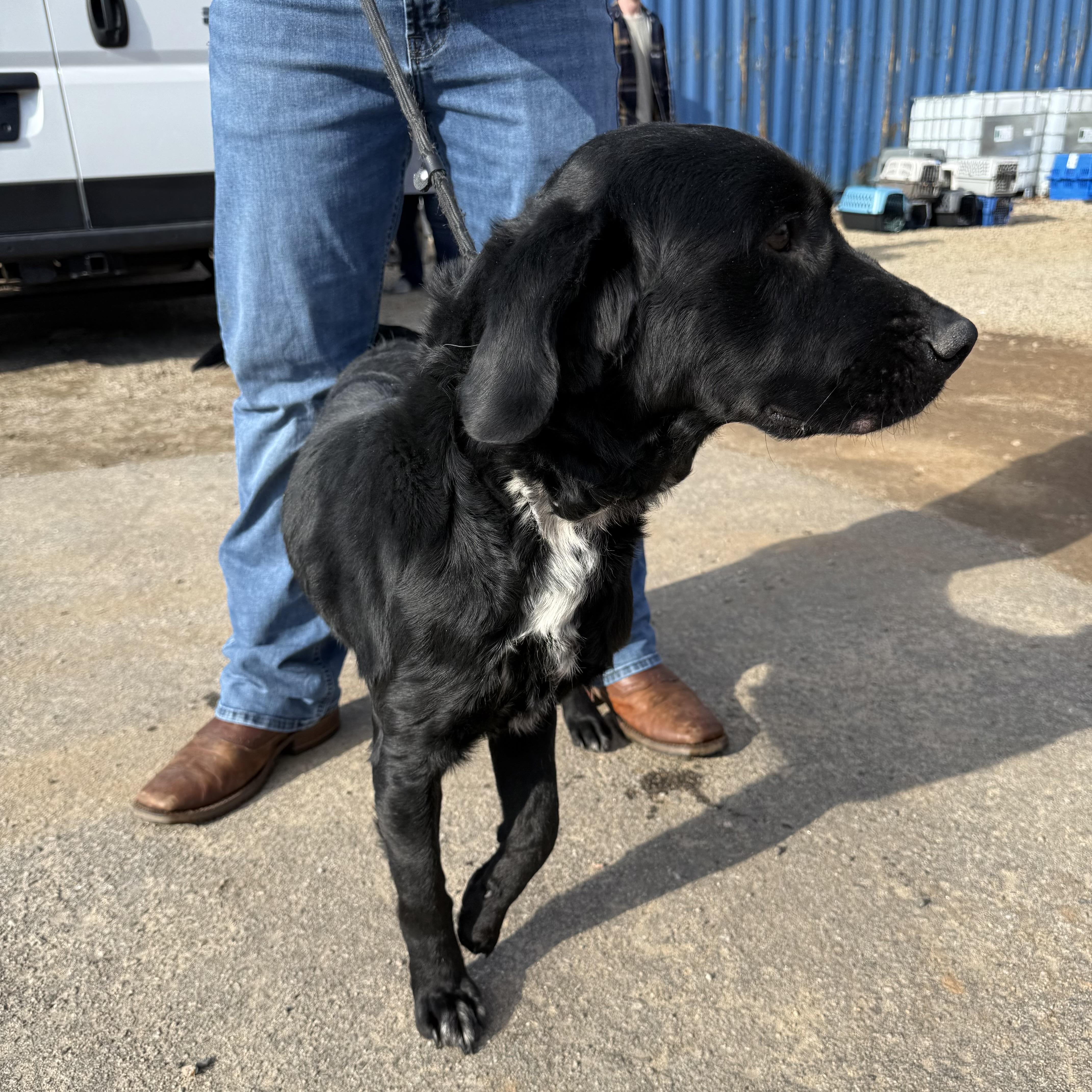 Sledder — thumbnail 3