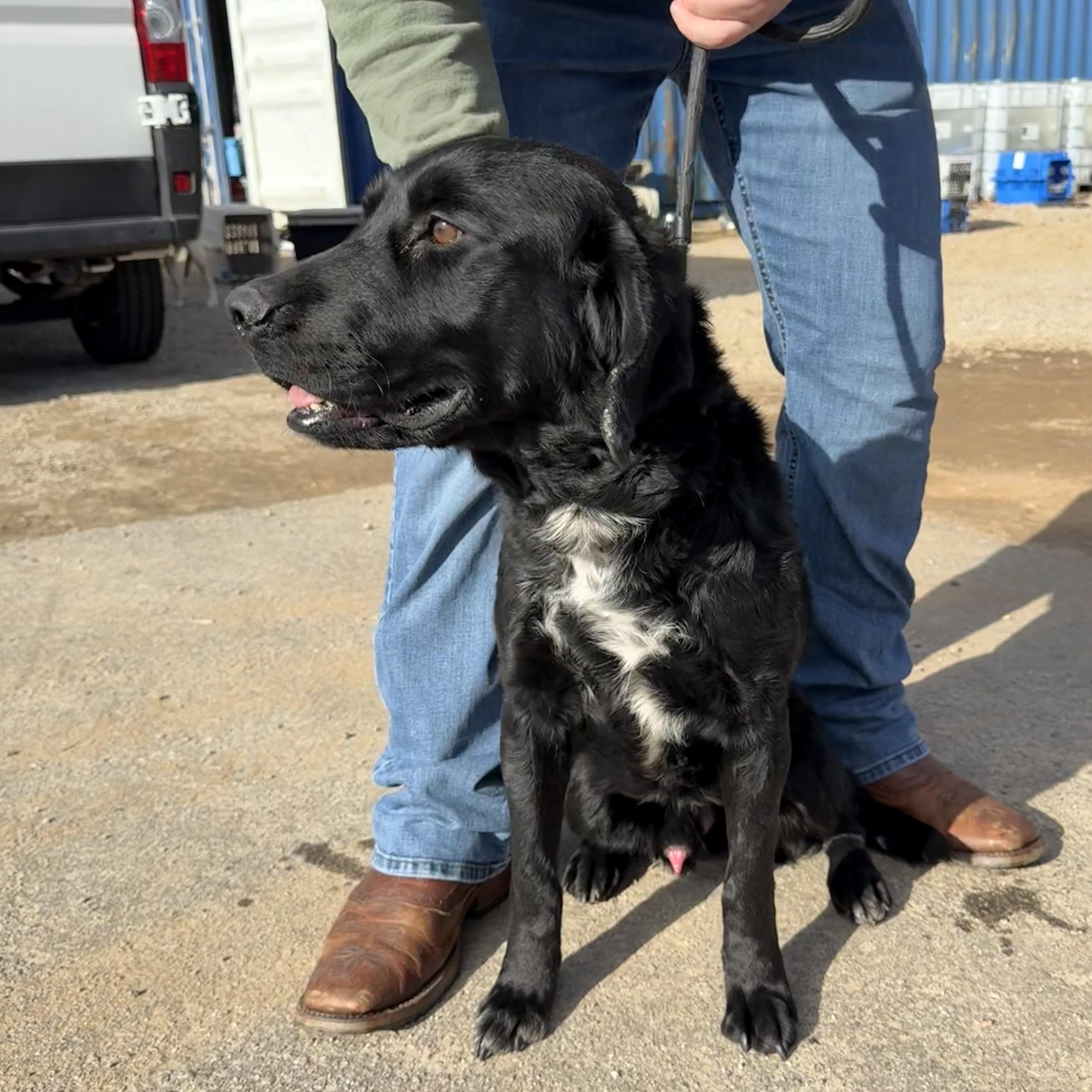 Sledder — thumbnail 5