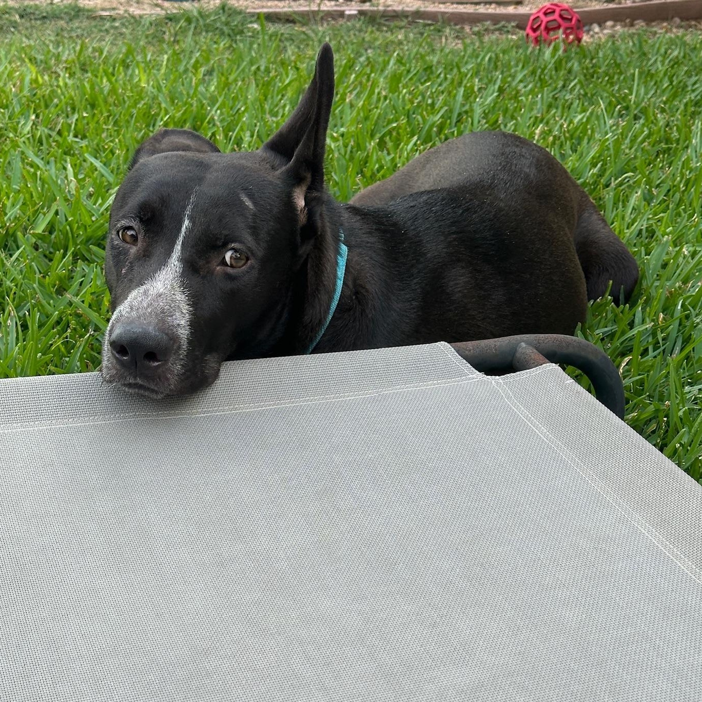 Miley — thumbnail 2