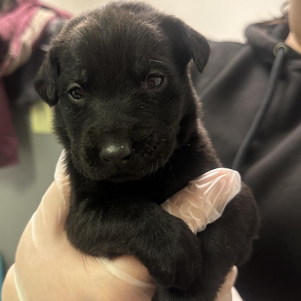 Cassie McKay — thumbnail 2