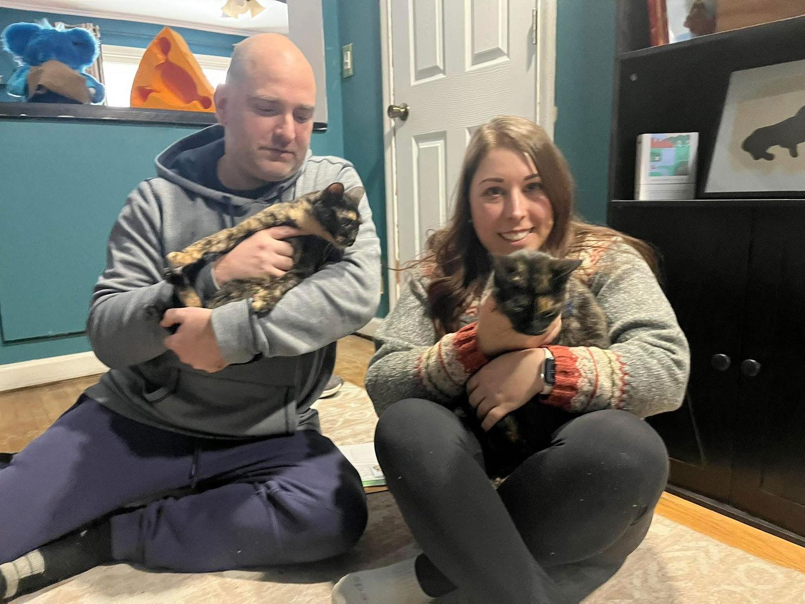 Jade, Adopted, Adult Female Tortoiseshell.