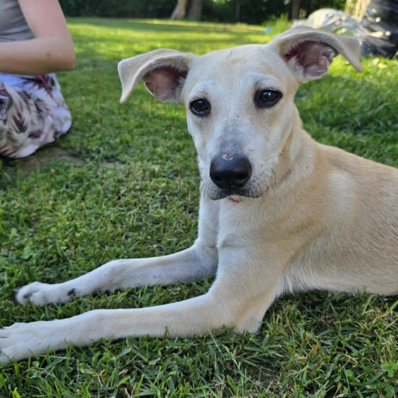 Tula photo 5