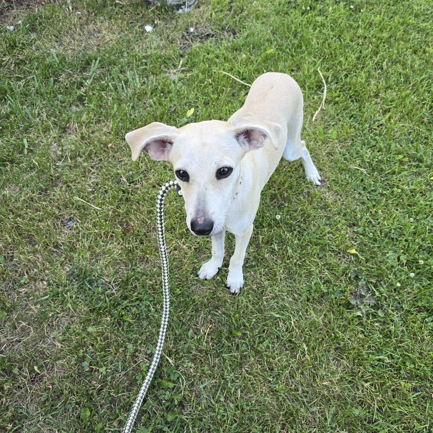Tula photo 6