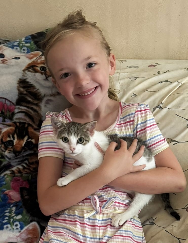 Pearl, a Adoptable Domestic Short Hair in Fairfield, IA image 1/4