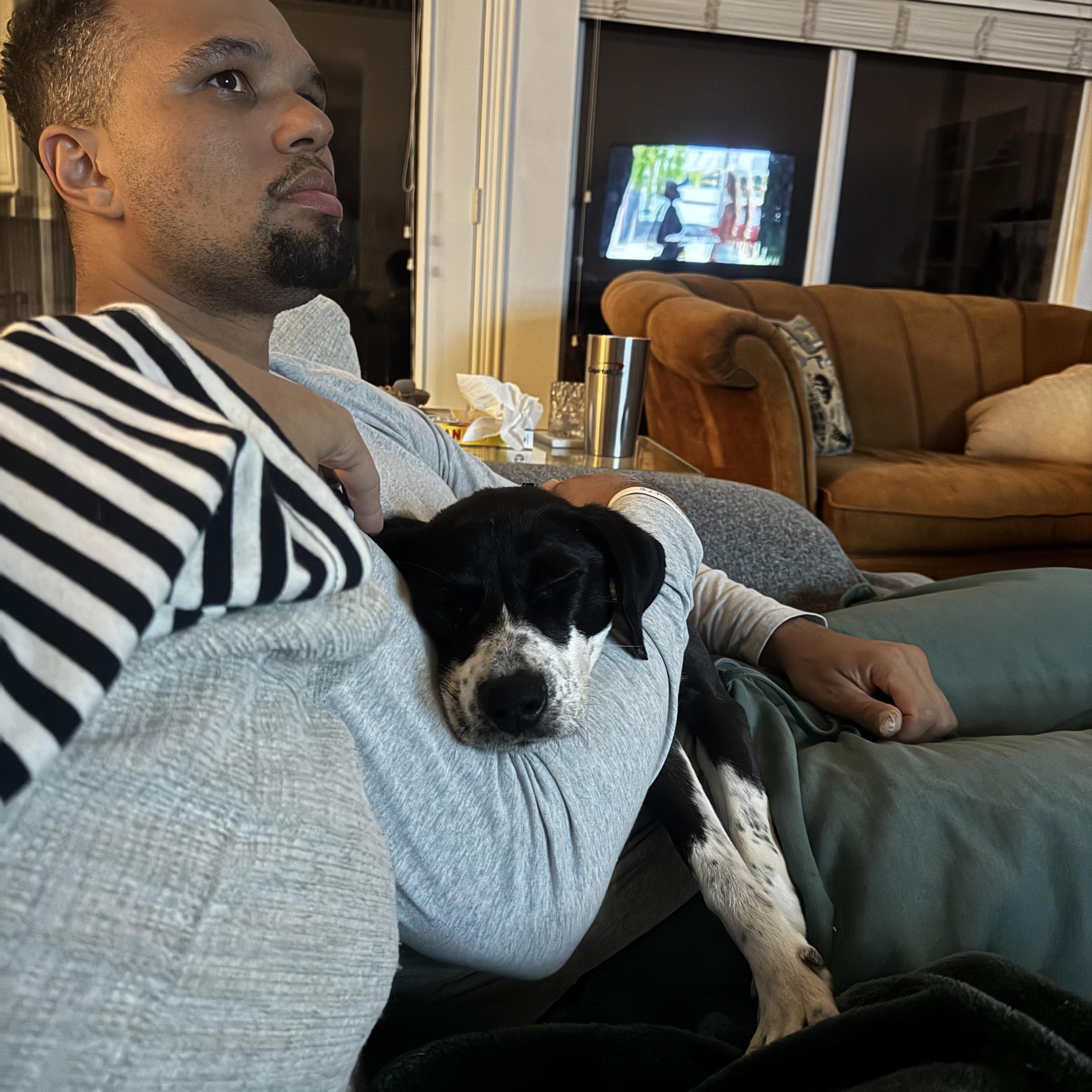 Enlarge Maya, a ADOPTABLE mixed breed in Dallas, TX image 3/6