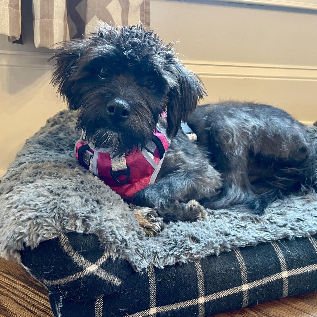 Zeta 22017 — thumbnail 2