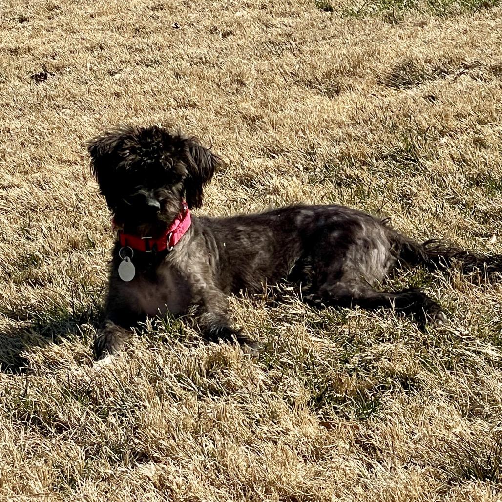 Zeta 22017 — thumbnail 4