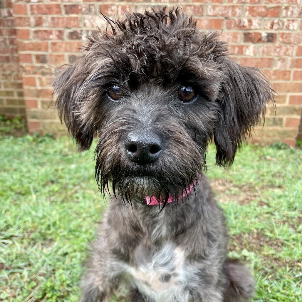 Zeta 22017 — thumbnail 5