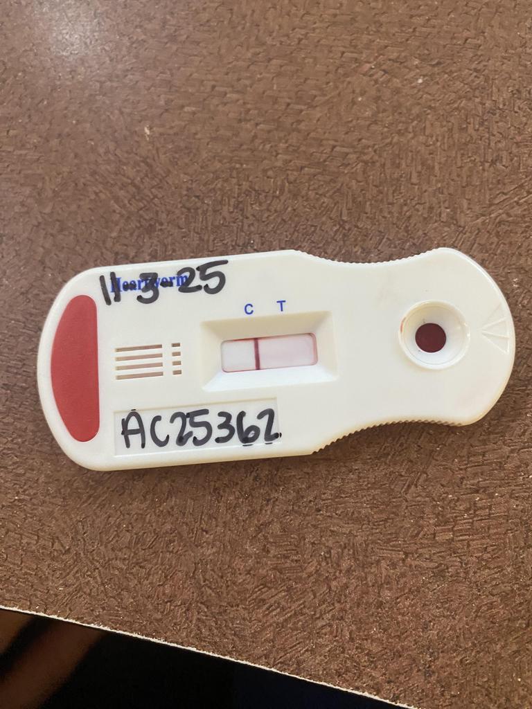 Khysi — thumbnail 5