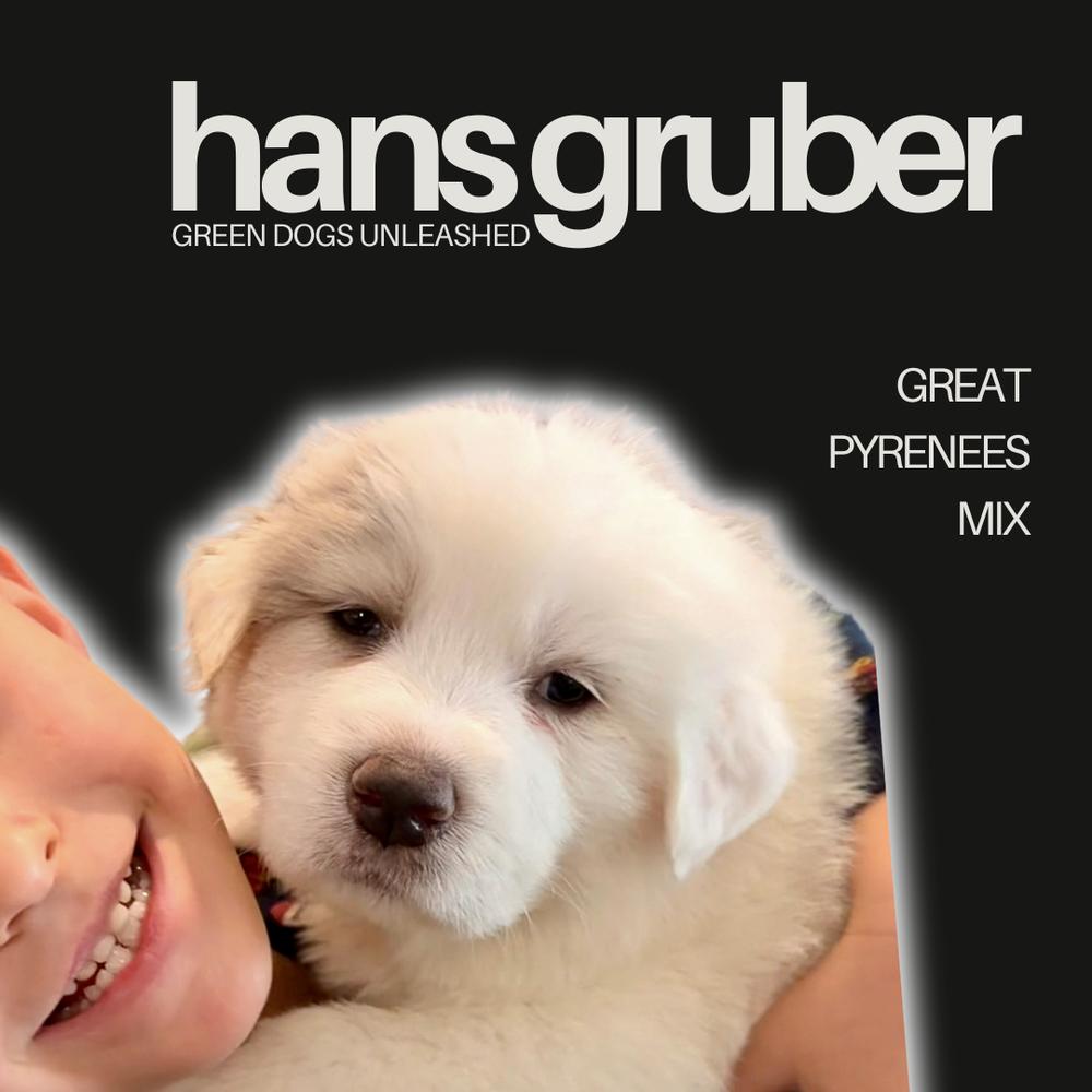 Hans Gruber thumbnail 3