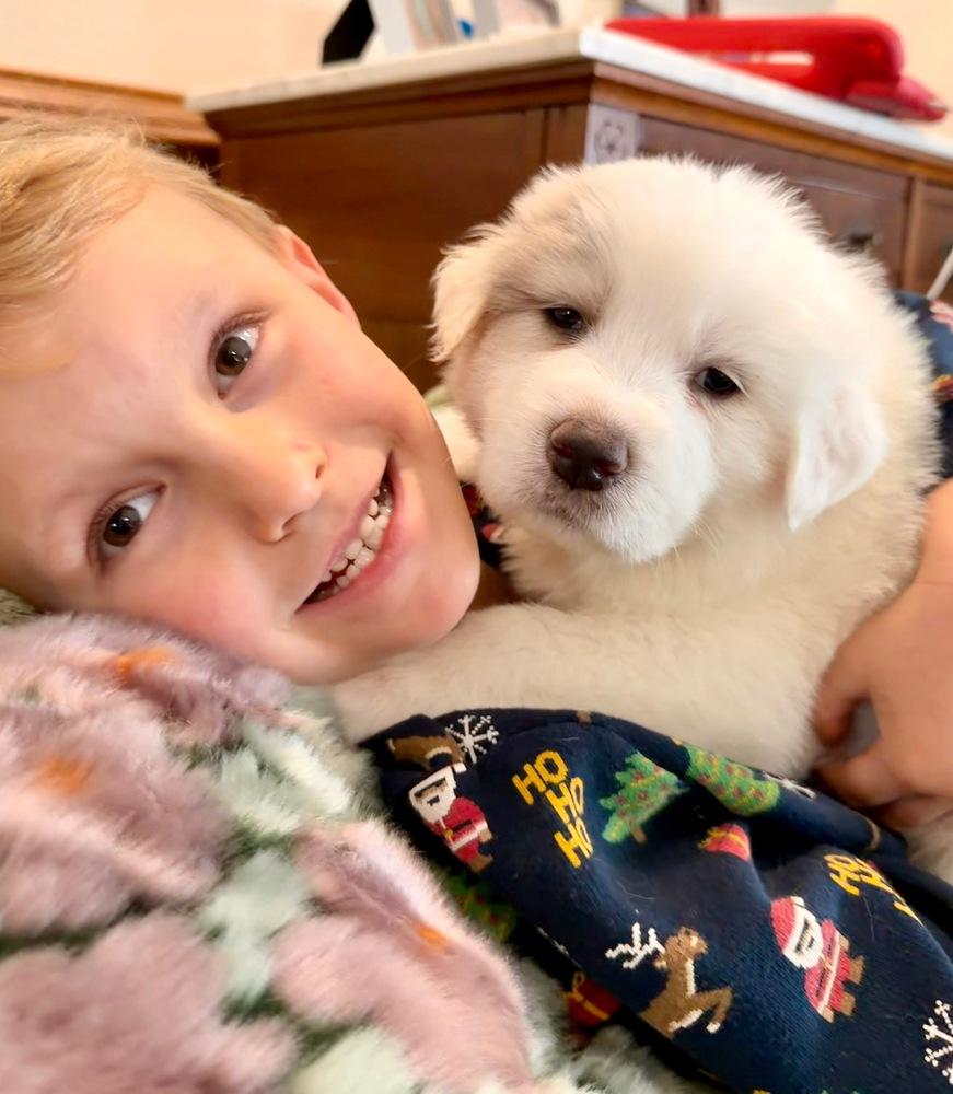 Hans Gruber thumbnail 5