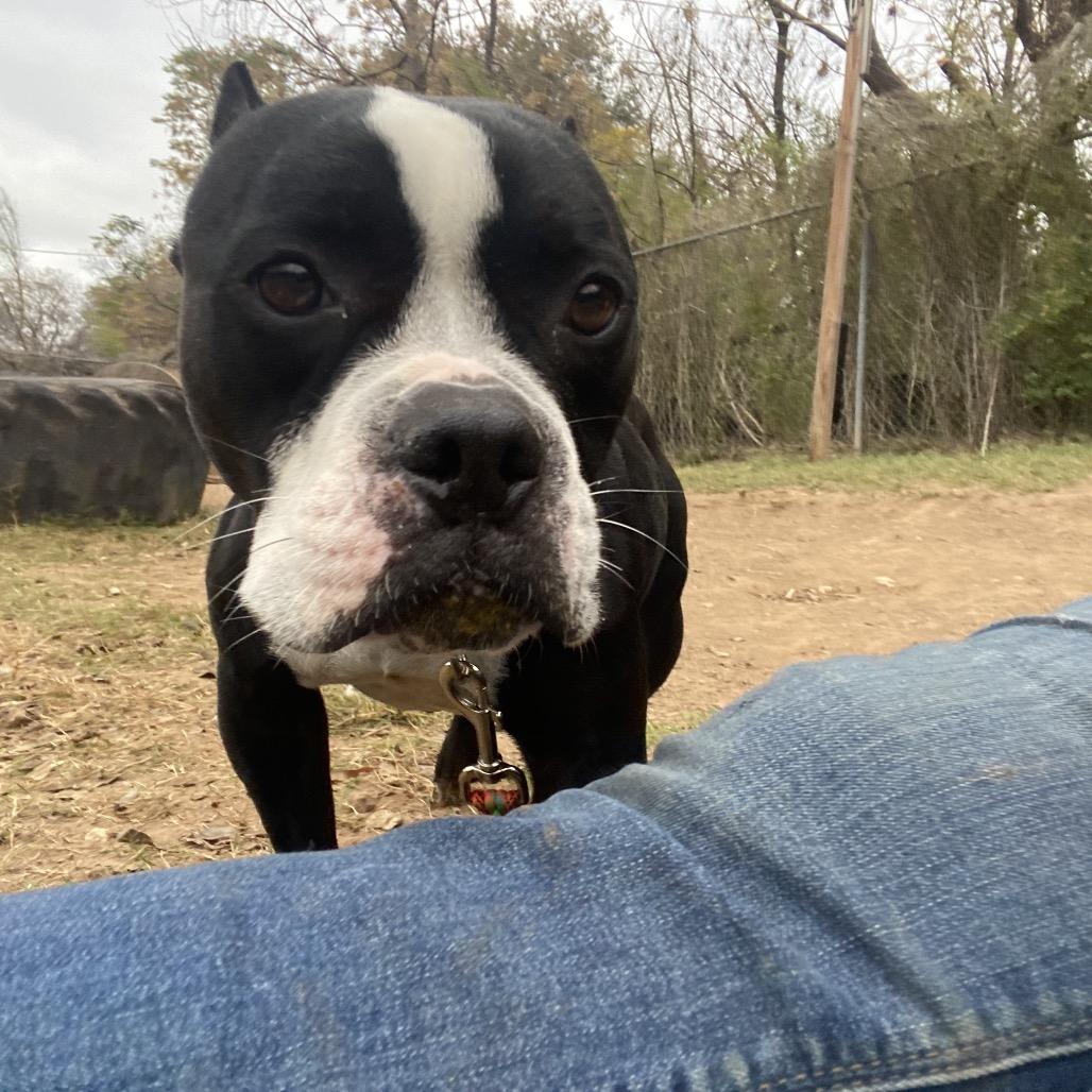 Dorothea — thumbnail 2