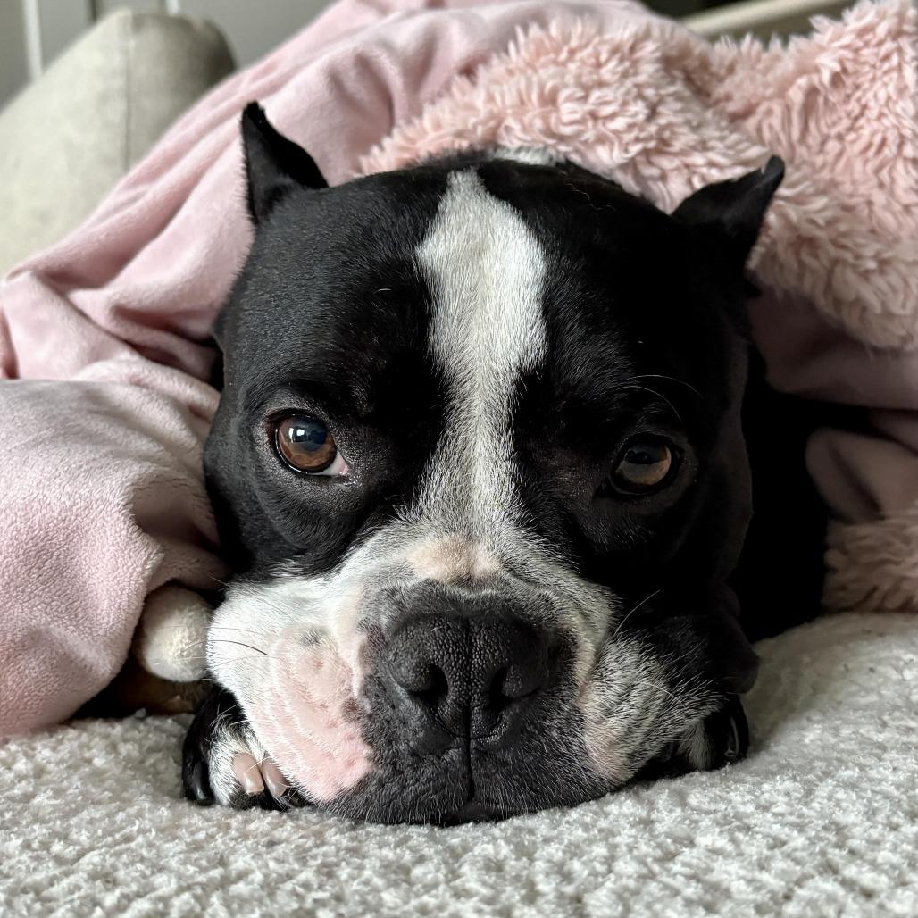 Dorothea — thumbnail 5