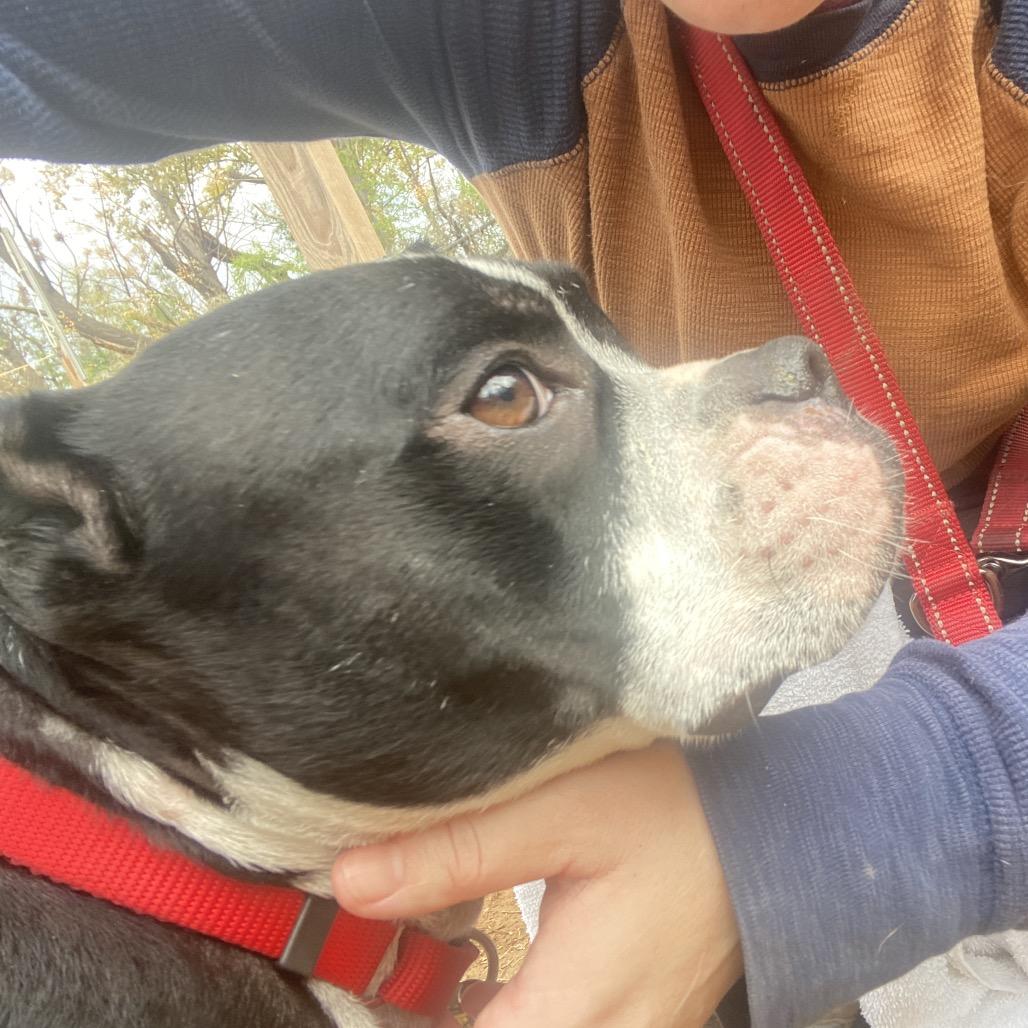 Dorothea — thumbnail 6