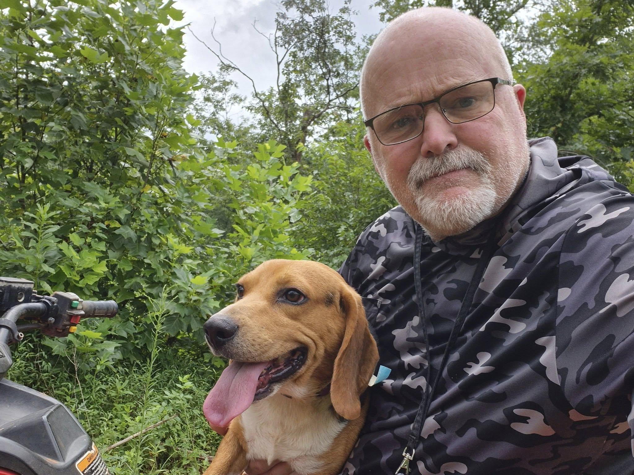 Enlarge Nacho, a Adoptable Beagle in Rutherfordton, NC image 2/2