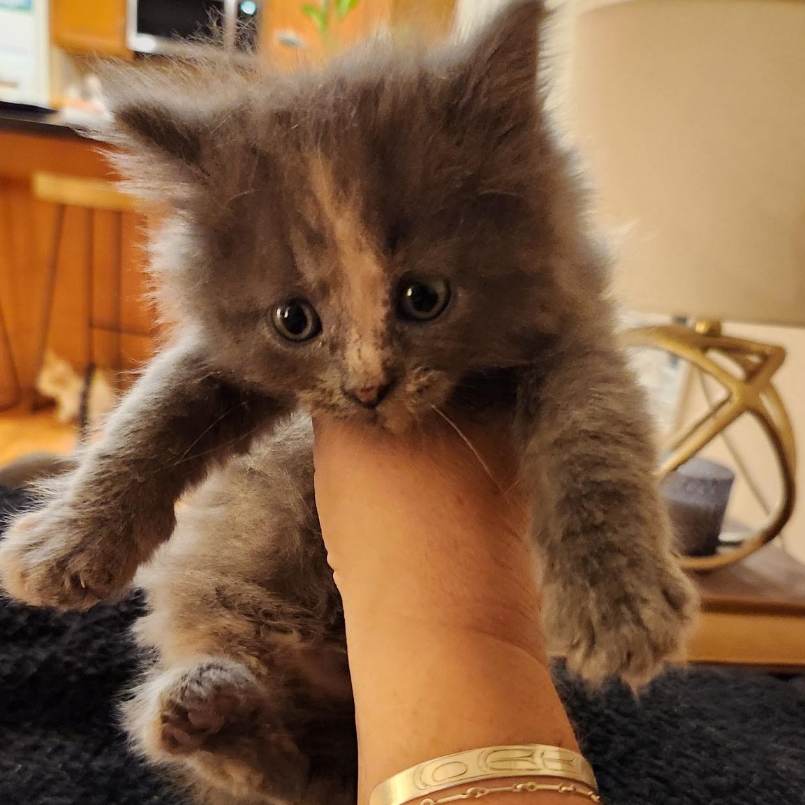 Mcchicken thumbnail 3