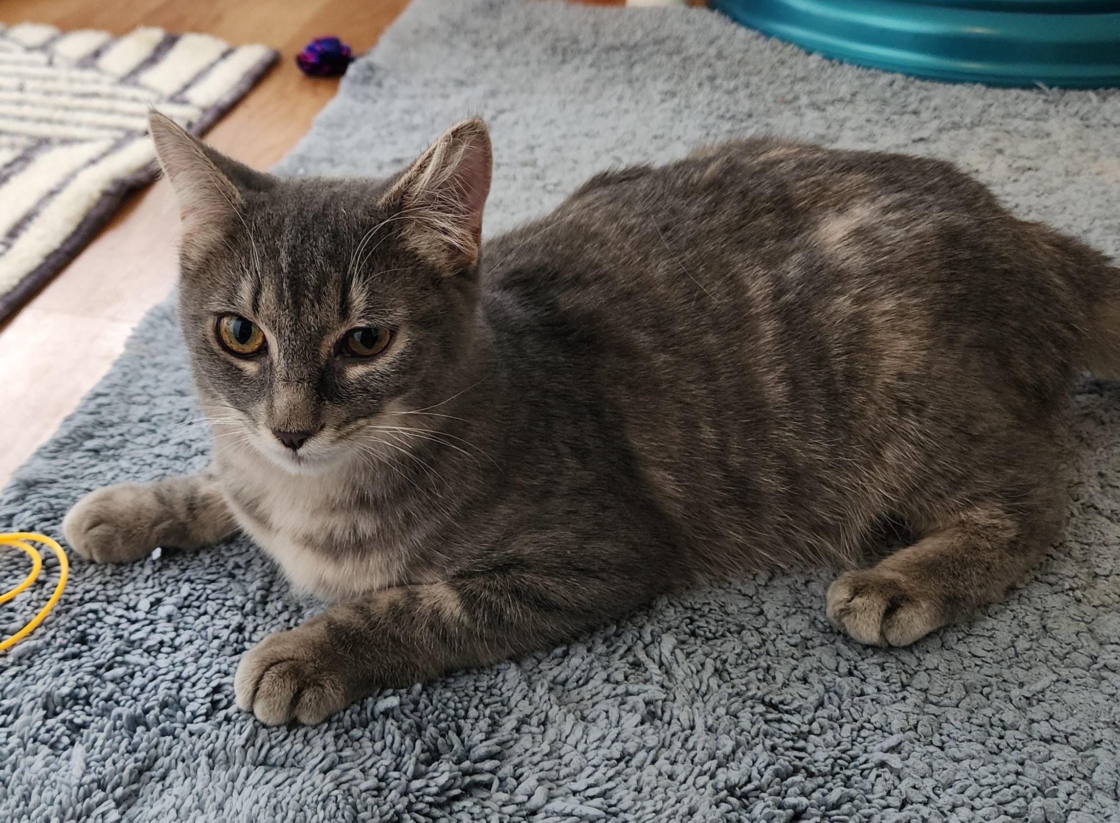 Natalie - Wobbly - Adorable!