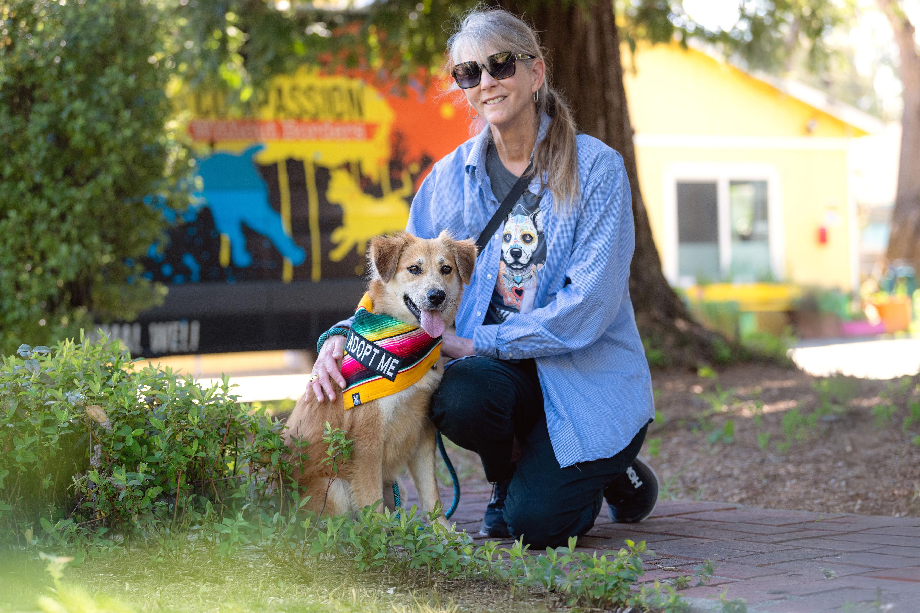 Enlarge Bonita, an adopted mixed breed in Santa Rosa, CA image 2/3