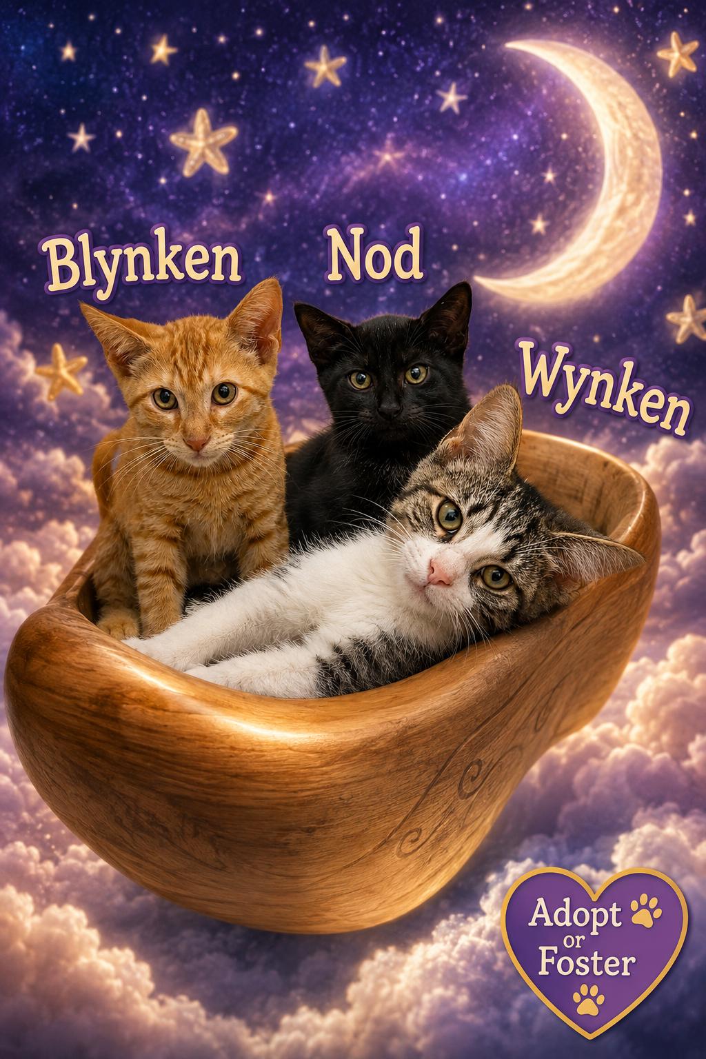 Enlarge Wyken, Blyken and Nod (FCID# 08/17/2026-27,28,29), a Adoptable Domestic Short Hair in Greenville, DE image 1/3