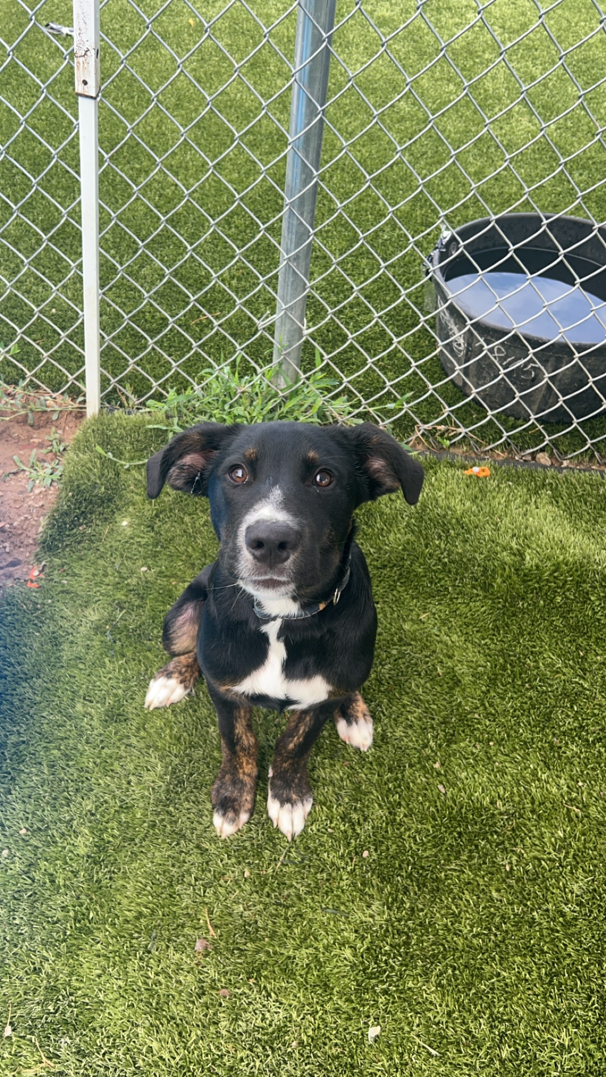 Max