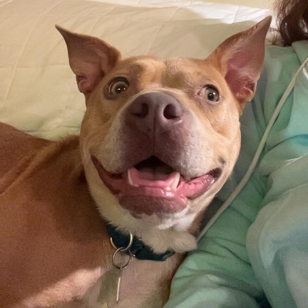 Honey — thumbnail 4