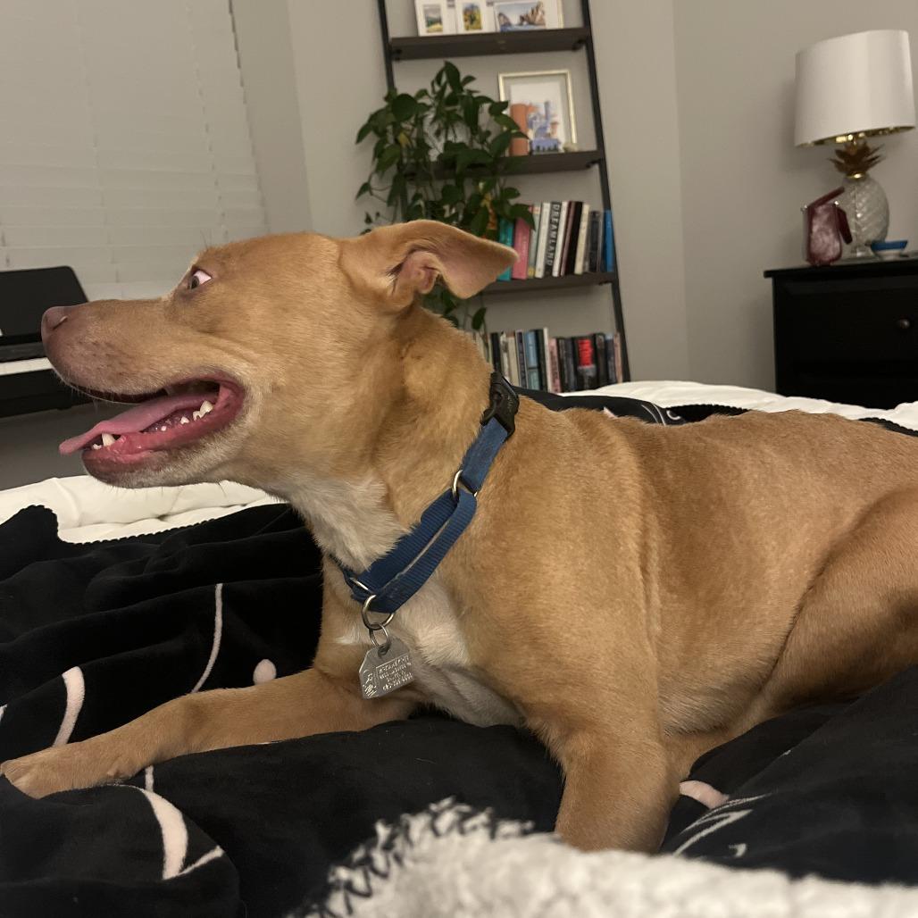 Honey — thumbnail 5