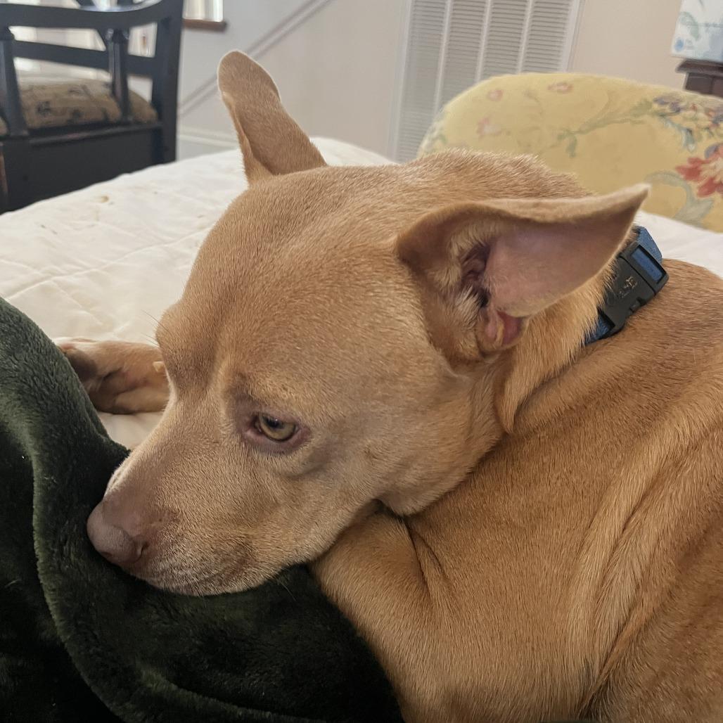 Honey — thumbnail 6