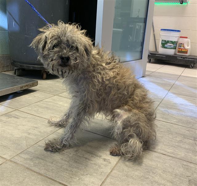 HELMET — thumbnail 2