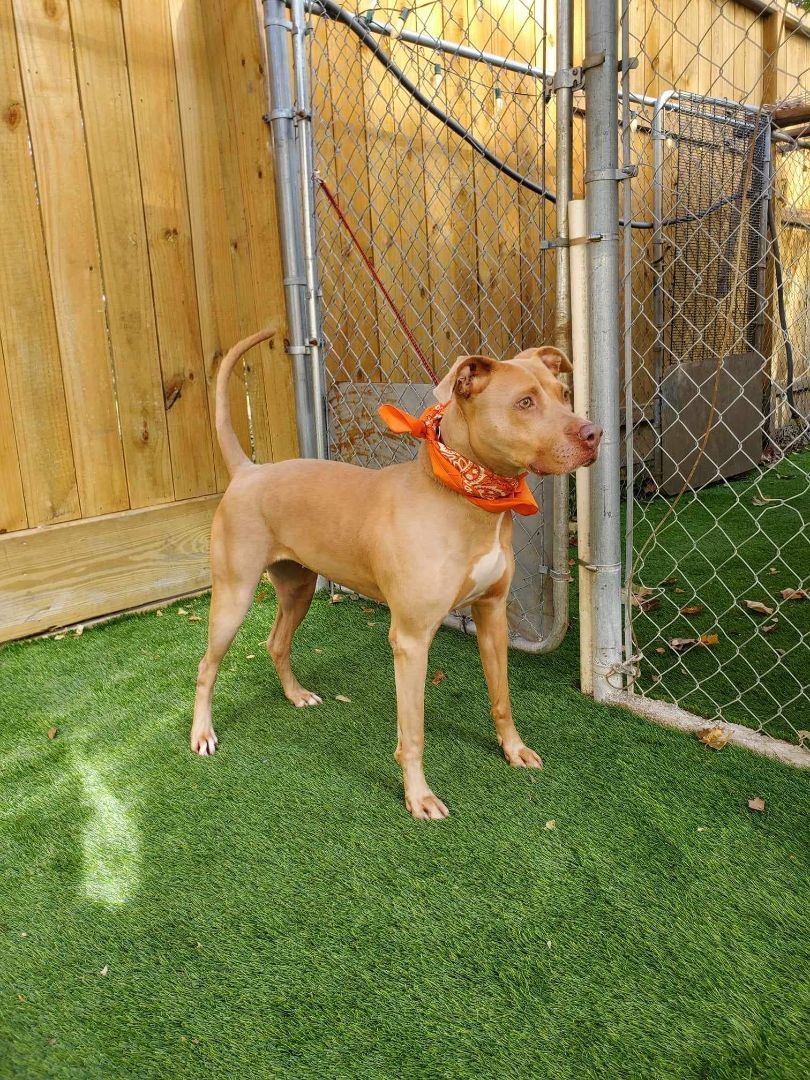 Cali — thumbnail 2