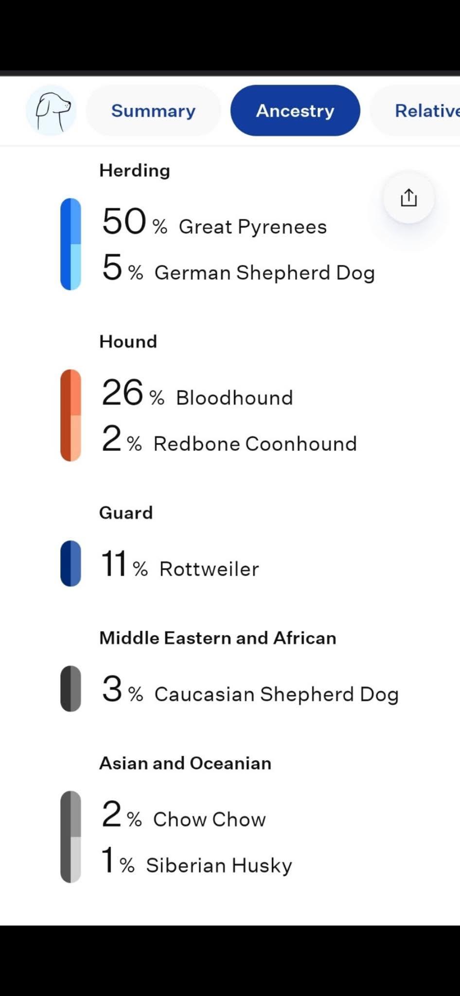 Enlarge Mack, a Adoptable Great Pyrenees in Union, WV image 3/3
