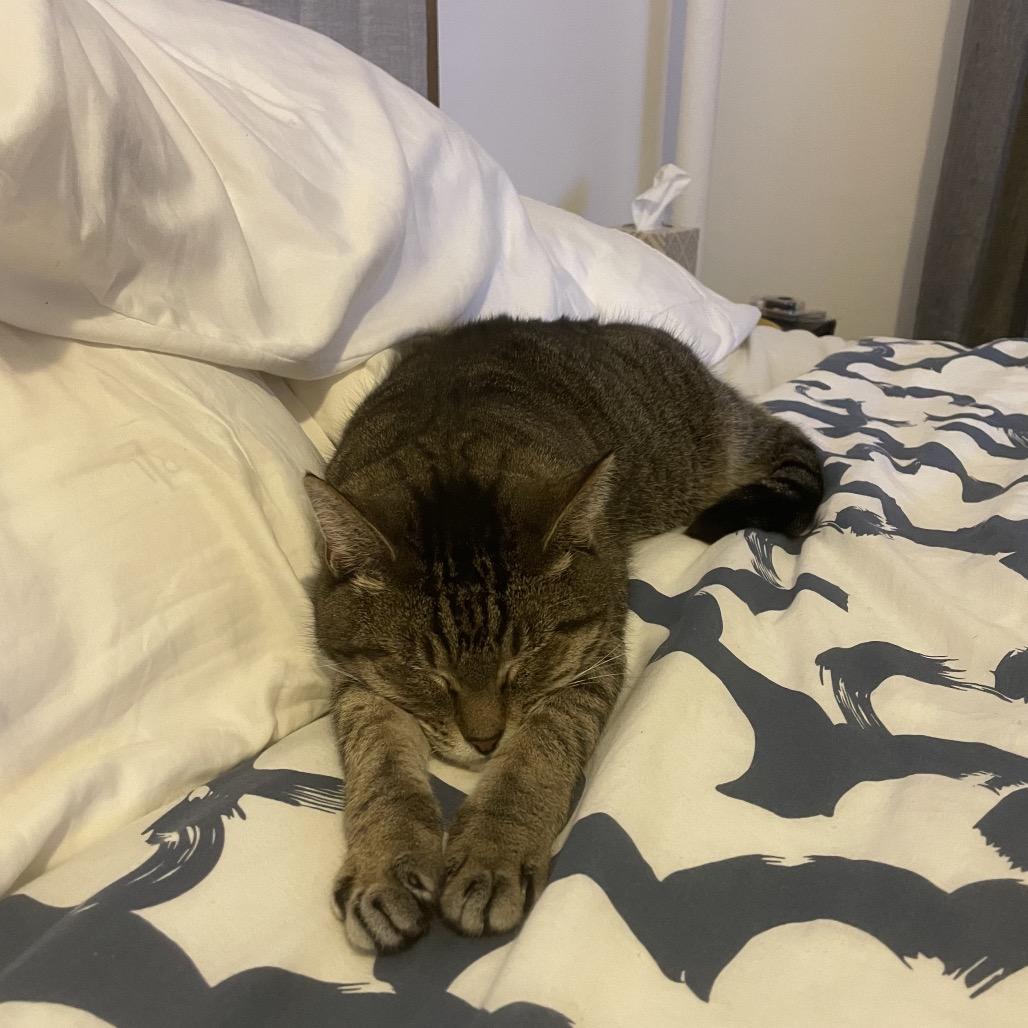 Clarice Catling — thumbnail 3