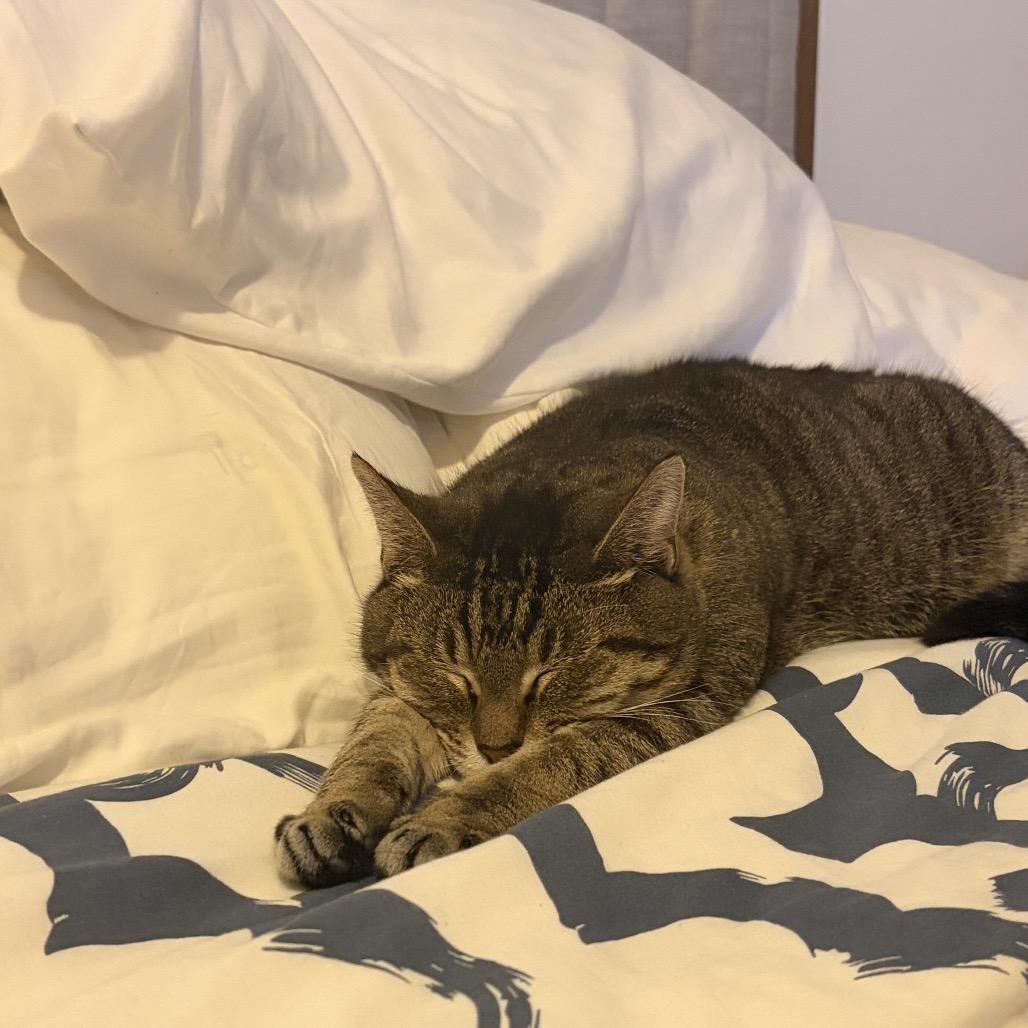 Clarice Catling — thumbnail 4