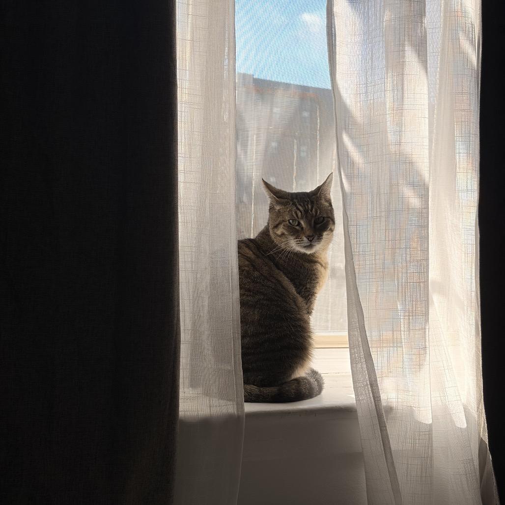 Clarice Catling — thumbnail 5