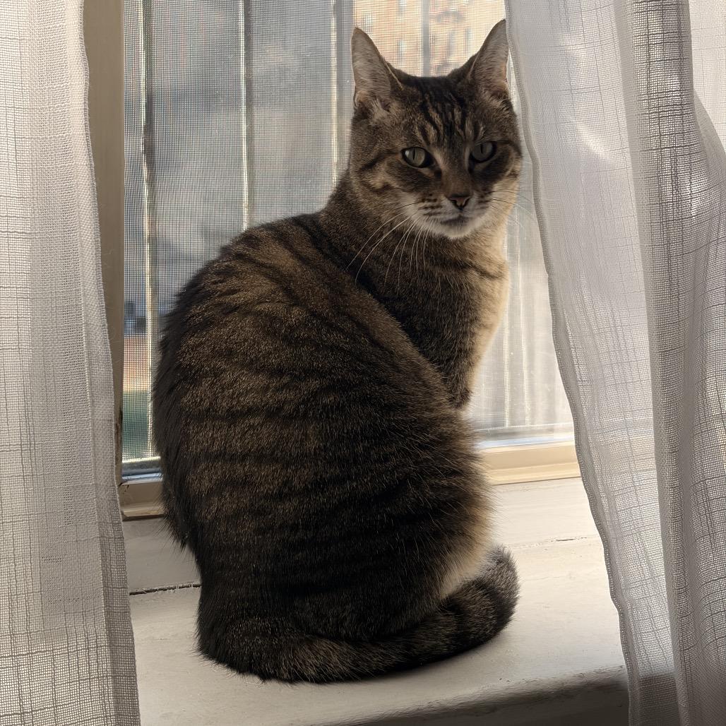 Clarice Catling — thumbnail 6